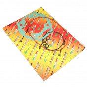 JOINT HAUT MOTEUR 50 A BOITE MALOSSI POUR HAUT MOTEUR MHR DERBI 50 SENDA 2006>, GPR 2006>/GILERA 50 SMT 2006>, RCR 2006> (MOTEUR PIAGGIO EURO 3) (POCHETTE) 3700948137918