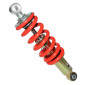 SHOCK ABSORBER FOR 50cc MOTORBIKE RIEJU 50 RS2 2003> (ADJUSTABLE-CENTERS 260mm) -SELECTION P2R-