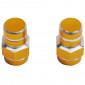BOUCHON DE VALVE SCOOT/CYCLO REPLAY VS 6 PANS OR (PAIRE) 3700948030493