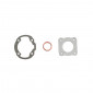 GASKET SET FOR CYLINDER KIT FOR SCOOT AIRSAL FOR PEUGEOT 50 TKR, TREKKER, SPEEDFIGHT AIR, VIVACITY, BUXY, SQUAB, ZENITH, ELYSEO - 8434829005885