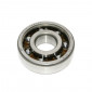 ROULEMENT D'EMBIELLAGE 6303 (17x47x14) SKF TN9 C3 CAGE HAUTE VITESSE ADAPTABLE MINARELLI 50 AM6/MBK 50 X-POWER, X-LIMIT/YAMAHA 50 TZR, DTR, TZR/BETA 50 RR/PEUGEOT 50 XPS/APRILIA 50 RS/RIEJU 50 RS1 7316570338256