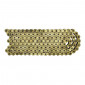 CHAIN FOR MOTORBIKE P2R 420 REINFORCED - GOLD 136 LINKS