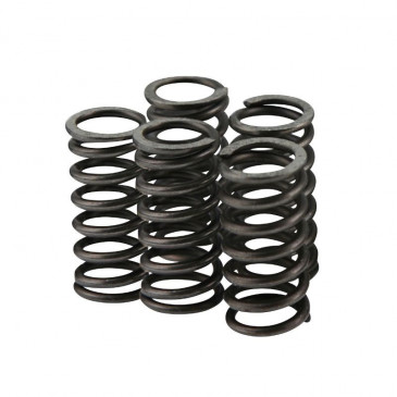 RESSORT EMBRAYAGE 50 A BOITE VOCA RACE-CLUTCH POUR DERBI 50 SENDA, GPR/GILERA 50 SMT, RCR (RENFORCE) (x5) 3700948183724
