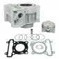 CYLINDER FOR MAXISCOOTER YAMAHA 125 XMAX 2008>, XCITY 2008>, YZF R / MBK 125 SKYCRUISER 2008>, CITY LINER 2008> (Ø52,4mm) -AIRSAL ALUMINIUM -T6- 8434829002204