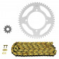 CHAIN AND SPROCKET KIT FOR BETA 50 RR 2006>2011, RR ENDURO STANDARD 2009>2011, RR STANDARD 2005>2008 420 11x51 (BORE Ø 100mm) (OEM SPECIFICATIONS) -AFAM-