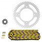 CHAIN AND SPROCKET KIT FOR BETA 50 RR SM TRACK 2012>2016 420 11x50 (BORE Ø 100mm) (OEM SPECIFICATIONS) -AFAM-