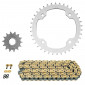 CHAIN AND SPROCKET KIT FOR YAMAHA 700 YFM RAPTOR 2005>2020 530 38x17 (OEM SPECIFICATIONS) (Ø SPROCKET 125/145/10.5) -AFAM-