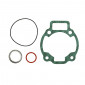 GASKET SET FOR CYLINDER KIT MALOSSI FOR MAXISCOOT RUNNER 180 (COMPLETE SET)