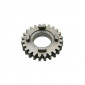 GEARBOX SPROCKET FOR MINARELLI 50 AM6 24 TEETH 5th PRIMARY SHAFT SERIE 2 -TOP PERF AS ORIGINAL-