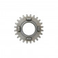 GEARBOX SPROCKET FOR MINARELLI 50 AM6 24 TEETH 5th PRIMARY SHAFT SERIE 2 -TOP PERF AS ORIGINAL-