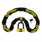 ANTIVOL A CHAINE AUVRAY XTREM 1.70M MAILLON DIAM 13.5 mm AVEC U XTREM MINI (CLASSE SRA CHAINE + U) 3700807708068