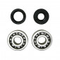 BEARING FOR CRANKSHAFT+SEALS FOR 50cc MOTORBIKE- P2R FOR MINARELLI 50 AM6/MBK 50 X-POWER/YAMAHA 50 TZR/PEUGEOT 50 XPS, XR6/RIEJU 50 RS1, SMX/BETA 50 RR (KIT 6303 TPI STEEL CASE C4/JOINT NITRILE) 3701213410095