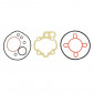 COMPLETE GASKET SET FOR MINARELLI 50 AM6 - ALL MODELS ENGINES (10 GASKET ) -SELECTION P2R- 3701213405831