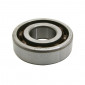 BEARING FOR CRANKSHAFT 6204 (20x47x14) TPI POLYAMID CASE C4 FOR MBK 50 BOOSTER/YAMAHA 50 BWS/DERBI 50 SENDA/PEUGEOT 50 LUDIX, 103/CPI 50 ARAGON, OLIVER/KEEWAY 50 FOCUS, MATRIX (SOLD PER UNIT) 3700948284049