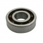 BEARING FOR CRANKSHAFT 6203 (17x40x12) TPI POLYAMID CASE C4 FOR PEUGEOT 103/SOLEX 3800 (SOLD PER UNIT)