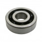 BEARING FOR CRANKSHAFT 6303 (17x47x14) TPI POLYAMID CASE C4 FOR MINARELLI 50 AM6/MBK 50 X-POWER, X-LIMIT/YAMAHA 50 TZR, DTR, TZR/BETA 50 RR/PEUGEOT 50 XPS/APRILIA 50 RS/RIEJU 50 RS1(SOLD PER UNIT) 3701213436323