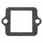 JOINT CLAPET SCOOT ADAPTABLE PIAGGIO 50 ZIP, TYPHOON, NRG, LIBERTY, VESPA LX/GILERA 50 STALKER, RUNNER (VENDU A L'UNITE) -P2R- 3700948048689
