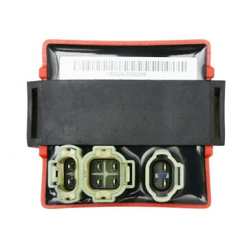 ECU - MALOSSI DIGITRONIC - FOR APRILIA 50 SR LC 2STROKE EURO 4 (PIAGGIO CA81M) -5518130B- 3700948138670