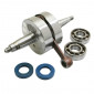 CRANKSHAFT FOR 50cc MOTORBIKE - TOP PERF TPR FOR DERBI 50 SENDA 2006>, GPR 2006>/APRILIA 50 RS 2006>/GILERA 50 SMT, RCR 2006> (PIAGGIO ENGINE EURO 3) (REINFORCED MODEL WITH BEARINGS AND SEALS) 3700948166932