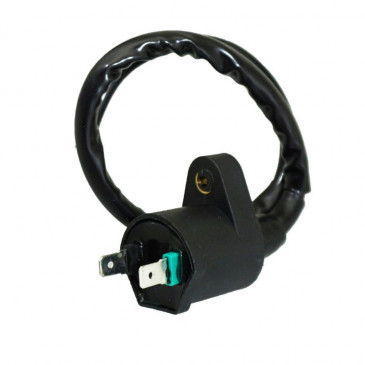 IGNITION COIL FOR SCOOT CPI 50 HUSSAR, OLIVER, POPCORN, GTR -P2R- 3700948110942