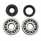 BEARING FOR CRANKSHAFT+SEALS FOR 50cc MOTORBIKE MINARELLI AM6/MBK 50 X-POWER/YAMAHA 50 TZR/PEUGEOT 50 XPS, XR6/RIEJU 50 RS1, SMX/BETA 50 RR (KIT 6303 SKF C4/ NITRILE SEAL) 3701213418985