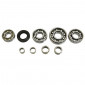 ROULEMENT BOITE DE VITESSES + CAGE AIGUILLES 50 A BOITE P2R FAG ADAPTABLE MINARELLI 50 AM6/BETA 50 RR/RIEJU 50 MRT/SHERCO 50 SE-R/MBK 50 X-POWER/YAMAHA 50 TZR/PEUGEOT 50 XPS (ROULEMENTS+DOUILLES INA) 3701213418961