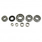 BEARING FOR GEARBOX (ZKL) + NEEDLE ROLLER AND CAGE ASSEMBLIES (INA) FOR 50cc MOTORBIKE MINARELLI 50 AM6/BETA 50 RR/RIEJU 50 MRT/SHERCO 50 SE-R/MBK 50 X-POWER/YAMAHA 50 TZR/PEUGEOT 50 XPS 3701213418978