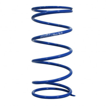 RESSORT VARIATEUR MAXISCOOTER POLINI EVO POUR PIAGGIO 125 LIBERTY 2005> +14% (243.086) 8054705079160