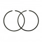 SEGMENT CYCLO MALOSSI POUR PEUGEOT 103 MVL, SP, RCX, SPX, VOGUE (40x1,5mm) (PAIRE) (35 9040) 3700948139127