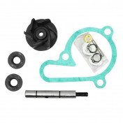 REPAIR KIT FOR WATER PUMP FOR 50cc MOTORBIKE DERBI 50 SENDA 2006>, GPR 2006>/GILERA 50 SMT 2006>, RCR 2006>/APRILIA 50 RS, SX, RX 2006> (PIAGGIO EURO 3 ENGINE) -TOP PERF AS ORIGINAL- 3700948167120