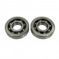 BEARING FOR CRANKSHAFT+SEALS - TOP PERFORMANCES FOR PIAGGIO 50 ZIP 2STROKE, TYPHOON, NRG/GILERA 50 STALKER, RUNNER 3700948167168