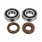 BEARING FOR CRANKSHAFT+SEALS FOR 50CC MOTORBIKE ARTEK FOR MINARELLI 50 AM6/MBK 50 X-POWER/YAMAHA 50 TZR/PEUGEOT 50 XPS, XR6/RIEJU 50 RS1/BETA 50 RR (BEARING KIT 6204 TPI + VITON SEALS) 3700948115145