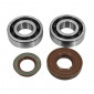 BEARING FOR CRANKSHAFT+SEALS FOR SCOOT ARTEK FOR MBK 50 BOOSTER, NITRO/YAMAHA 50 BWS, AEROX/APRILIA 50 SR/CPI 50 ARAGON/GENERIC 50 IDEO (BEARING KIT 6204 TPI POLYAMID C4 +VITON SEALS)