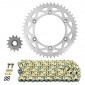 KIT CHAINE ADAPTABLE GAS GAS 300 EC 2000 520 13x47 (DIAM COURONNE 136/156/8.5) (DEMULTIPLICATION ORIGINE) -AFAM- 5400598053979