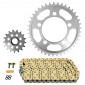 KIT CHAINE ADAPTABLE KTM 990 SM SUPERMOTO 2008>2010 525 17x41 (DIAM COURONNE 101/124/14.25) (DEMULTIPLICATION ORIGINE) -AFAM- 5400598048425