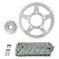 KIT CHAINE ADAPTABLE TRIUMPH 1000 DAYTONA 1991>1995 530 17x48 (DIAM COURONNE 79.8/110/12.5) (DEMULTIPLICATION ORIGINE) -AFAM- 5400598051609