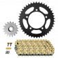 CHAIN AND SPROCKET KIT FOR APRILIA 1000 RSV 1998>2003, RSV SP 1999>2000 525 17x42 (REAR SPROCKET Ø 100/120/10.25) (OEM SPECIFICATIONS) -AFAM-