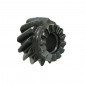 KICK STARTER SPROCKET FOR MOPED MBK 51 (SOLD PER UNIT) 3700948207031