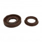 OIL SEAL FOR CRANKSHAFT FOR SCOOT MBK 50 BOOSTER, STUNT/YAMAHA 50 BWS, SLIDER (VITON) (PAIR) -SELECTION P2R- 3701213409617