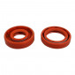 OIL SEAL FOR CRANKSHAFT FOR 50cc MOTORBIKE MINARELLI 50 AM6/MBK 50 X-POWER, X-LIMIT/YAMAHA 50 TZR, DTR/PEUGEOT 50 XPS, XR6/RIEJU 50 RS1, SMX/BETA 50 RR (RACING RED) (PAIR) -SELECTION P2R - 3701213420896