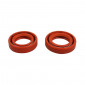 OIL SEAL FOR CRANKSHAFT FOR SCOOT PIAGGIO 50 ZIP 2T, TYPHOON, NRG, LIBERTY 2STROKE, VESPA LX 2STROKE/GILERA 50 STALKER, ICE, RUNNER, DNA (RACING RED) (PAIR) -SELECTION P2R - 3701213420902