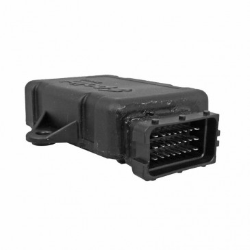 ECU FOR MINARELLI 50 AM6 (EURO 4) (171.0011) -POLINI-