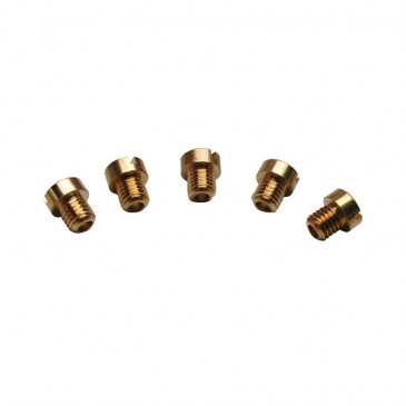 GICLEUR PRINCIPAL PHBG/SHA 5mm P2R N° 58 (SACHET DE 5) 3700948292068