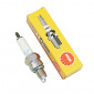 BOUGIE NGK LR7D (90072) 0087295900727