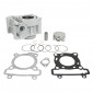 CYLINDER FOR MAXISCOOTER YAMAHA 125 XMAX, XCITY, YZF R, MT / MBK 125 SKYCRUISER, CITYLINER (ALUMINIUM) -TOP PERFORMANCES AS ORIGINAL- 3700948293331