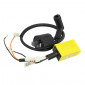 BOBINE ALLUMAGE AVEC CDI SCOOT ADAPTABLE PIAGGIO / GILERA / APRILIA (MOTEUR PIAGGIO) (AVANCE FIXE) -TOP PERFORMANCE- 3700948221549