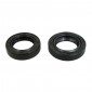 OIL SEAL FOR CRANKSHAFT FOR SCOOT PIAGGIO 50 ZIP 2T, TYPHOON, NRG, LIBERTY 2STROKE, VESPA LX 2STROKE/GILERA 50 STALKER, ICE, RUNNER, DNA (NITRILE) (PAIR) -SELECTION P2R - 3701213406135