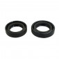 OIL SEAL FOR CRANKSHAFT FOR SCOOT PIAGGIO 50 ZIP 2T, TYPHOON, NRG, LIBERTY 2STROKE, VESPA LX 2STROKE/GILERA 50 STALKER, ICE, RUNNER, DNA (NITRILE) (PAIR) -SELECTION P2R - 3701213406135