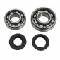 BEARING FOR CRANKSHAFT+SEALS FOR MOPED PEUGEOT 103 (KIT 6204 + 6203 FAG STEEEL C3/ NITRILE SEAL) - P2R 3701213410422
