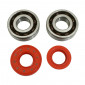 BEARING FOR CRANKSHAFT+SEALS FOR SCOOT P2R FOR MBK 50 BOOSTER, NITRO/YAMAHA 50 BWS, AEROX/APRILIA 50 SR/CPI 50 ARAGON/GENERIC 50 IDEO/KEEWAY 50 FOCUS (KIT 6204 TPI POLYAMID C4/RACING RED SEAL)